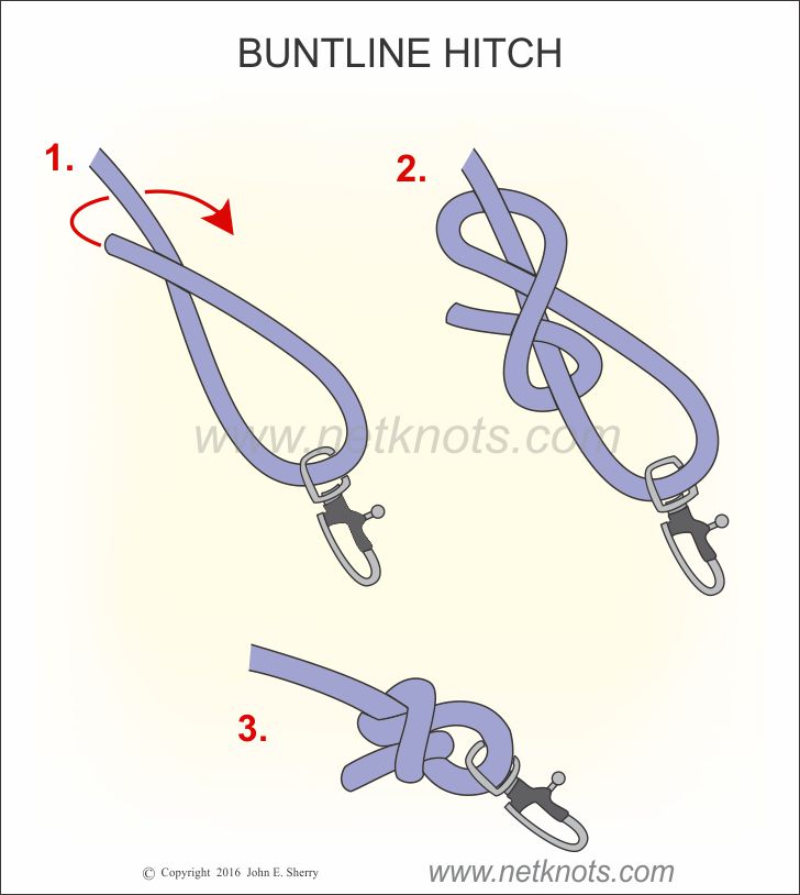 Securing Rope On A Carabiner  Knots With Carabiner 