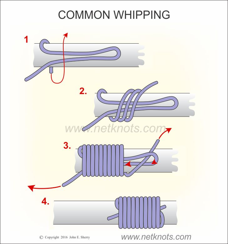 Common Whipping  How to tie a Common Whipping Knot animated and