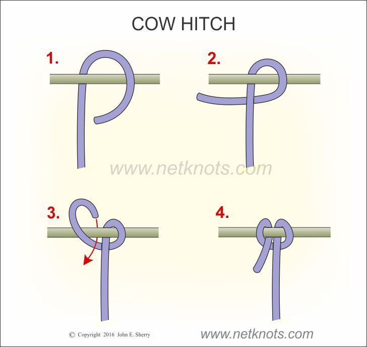 Cow Hitch How to tie a Cow Hitch