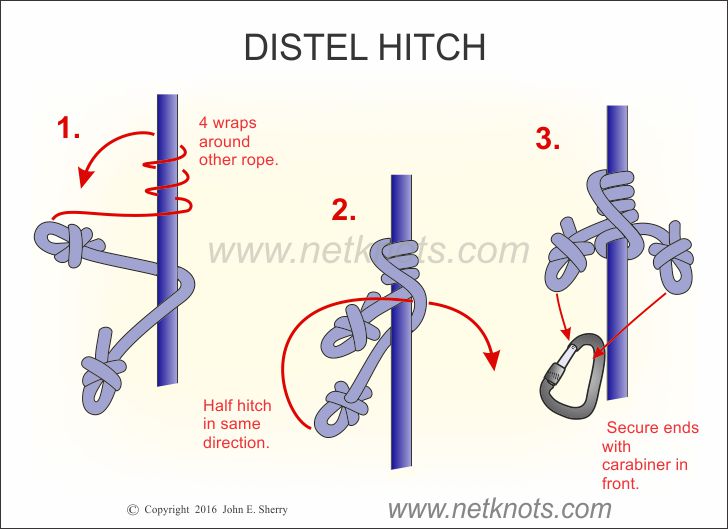 Distel Hitch How to tie a Distel Hitch