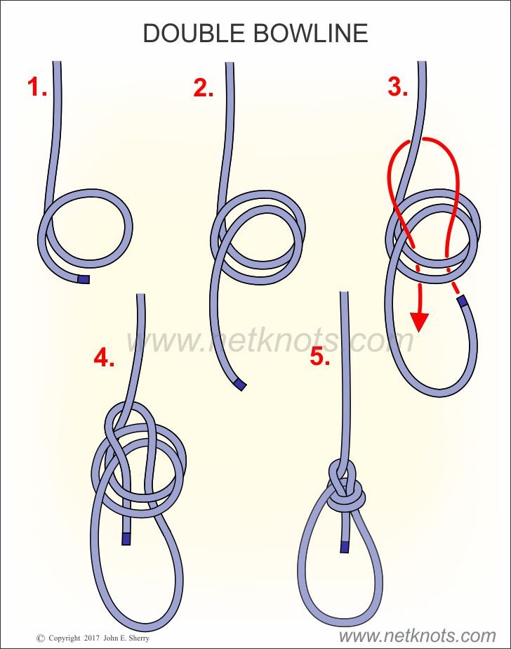 How to Tie a Double Coin Knot? Tips, Quick & Easy Step by Step, double ...