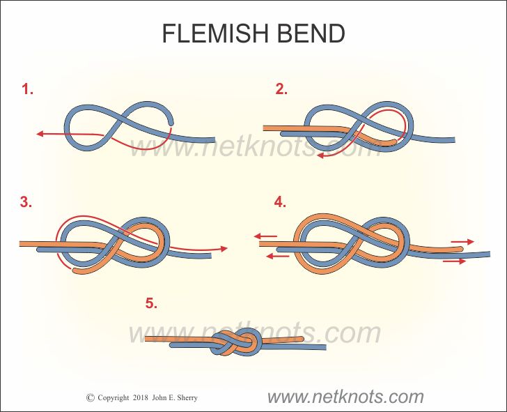 double Flemish loop or figure eight 8 knot with new colored