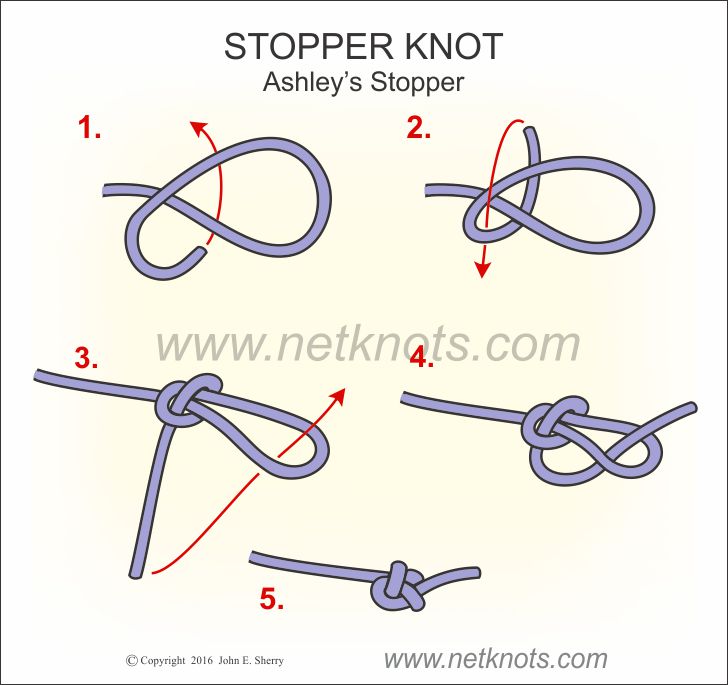 Double Overhand Stopper Knot  Easy to tie stopper knot illustrated and  animated