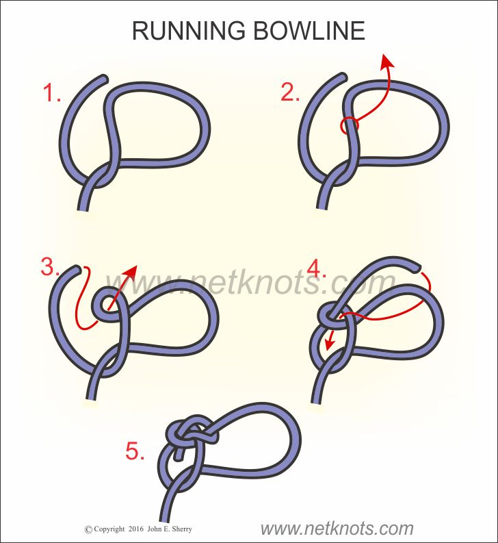 tie a bowline