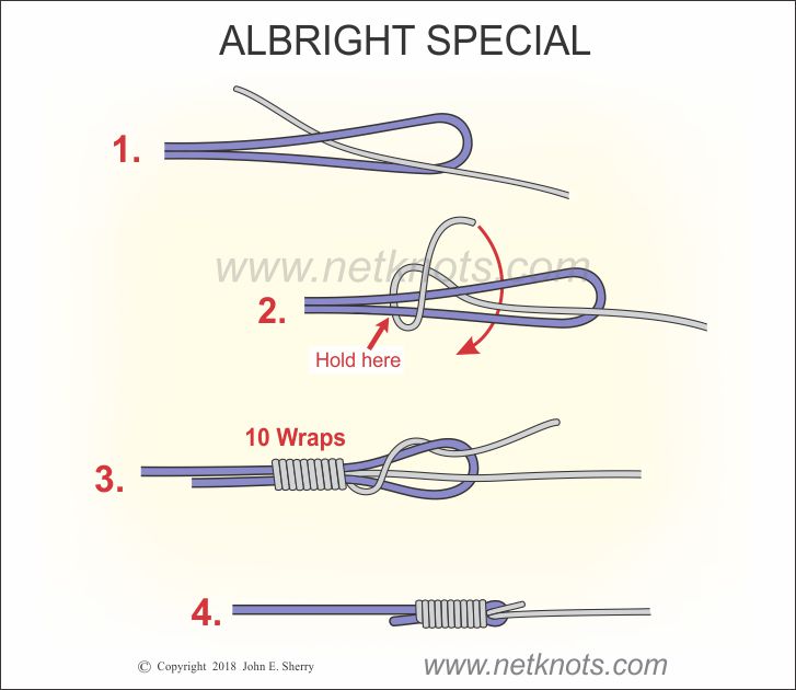 albright knot guide printable
