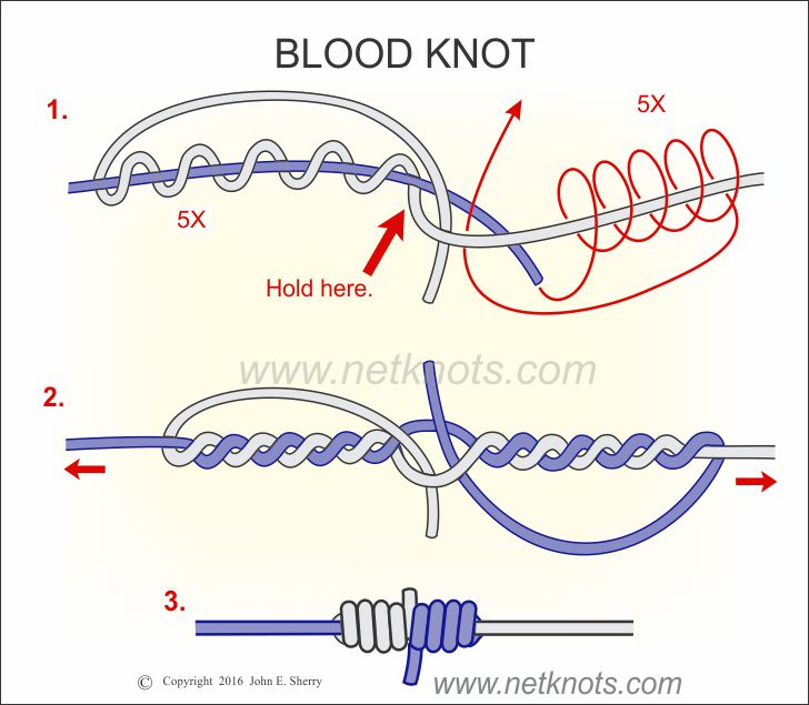 Blood Knot - How to tie a Blood Knot