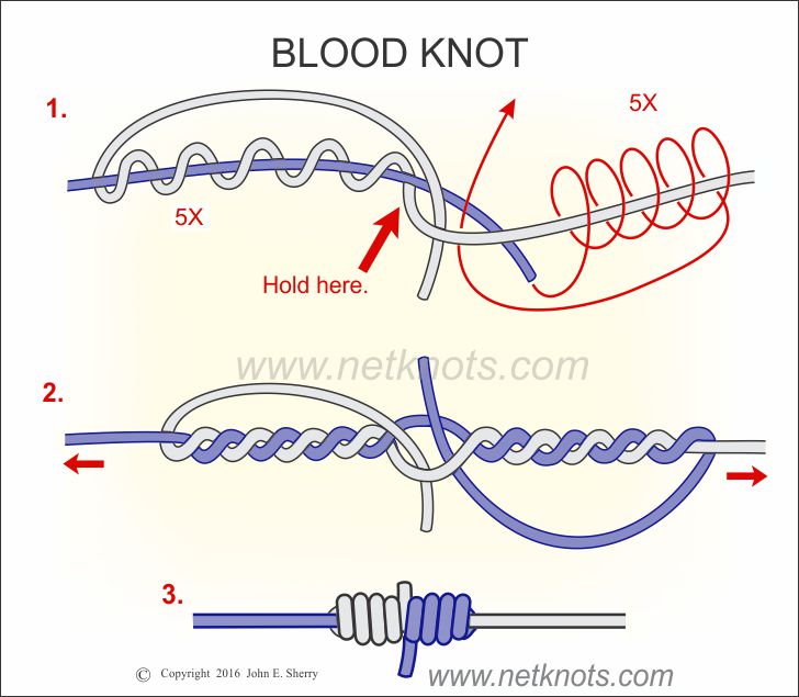 How to Tie a Surgeons Knot, How to Tie Two Lines Together