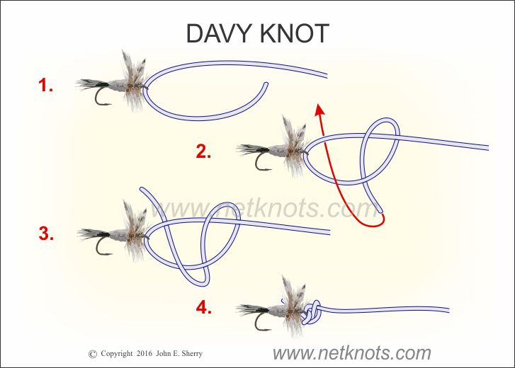 Davy Knot - How to tie the Davy Knot with animation and illustration