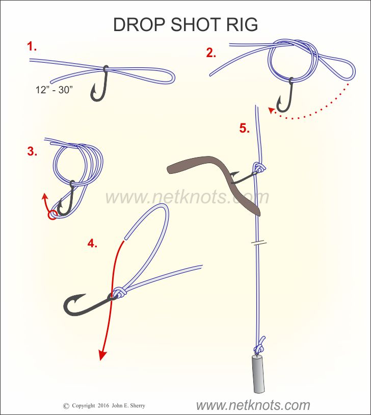 Marco Polo bleek hotel Drop Shot Rig - How to tie a Drop Shot Rig | Fishing Knots