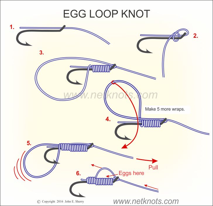 Egg Loop Knot - How to tie an Egg Loop Knot