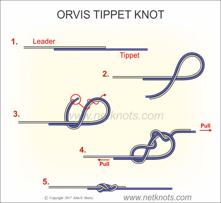 Orvis Tippet Knot How to tie the Orvis Tippet Knot