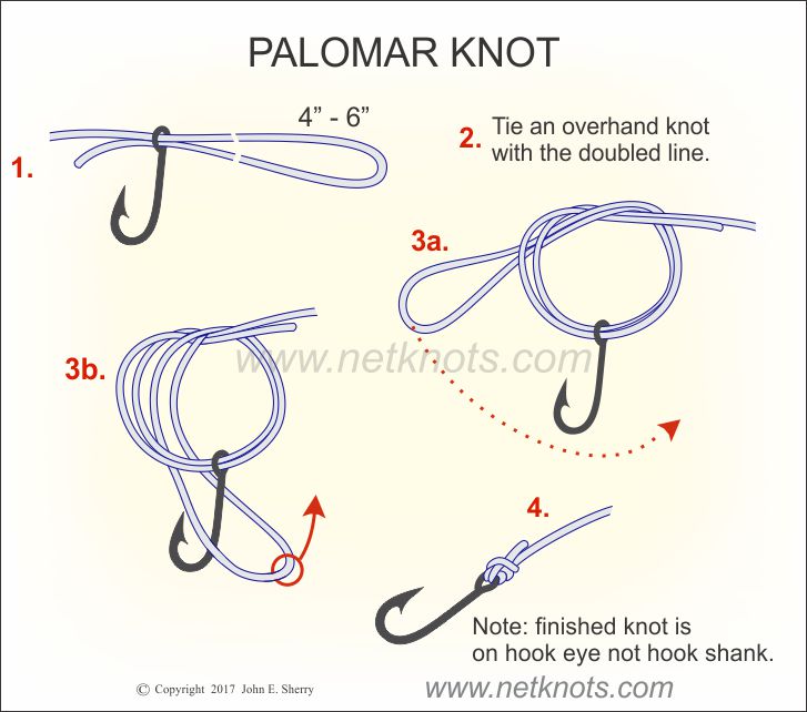 Palomar  Fishing knots, Snell knot, Knots