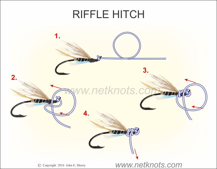 Riffle Hitch, How to tie a Riffle Hitch animated and illustrated