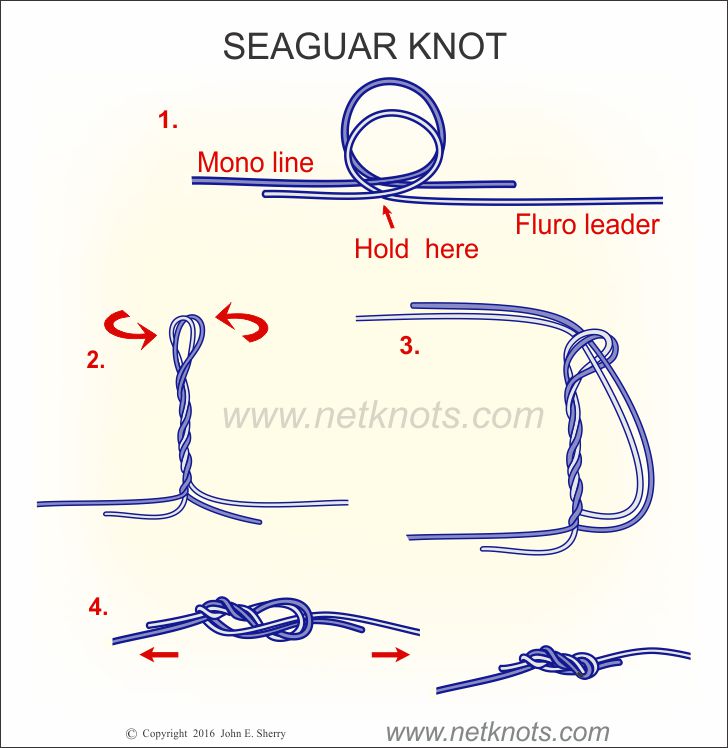 How to Tie a Seaguar Knot in Under a Minute (Mono to Fluoro