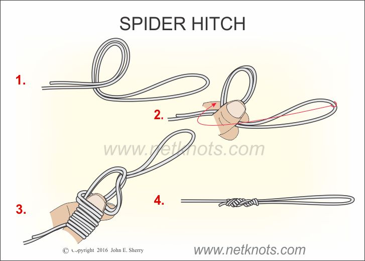 Spider Hitch How to tie a Spider Hitch