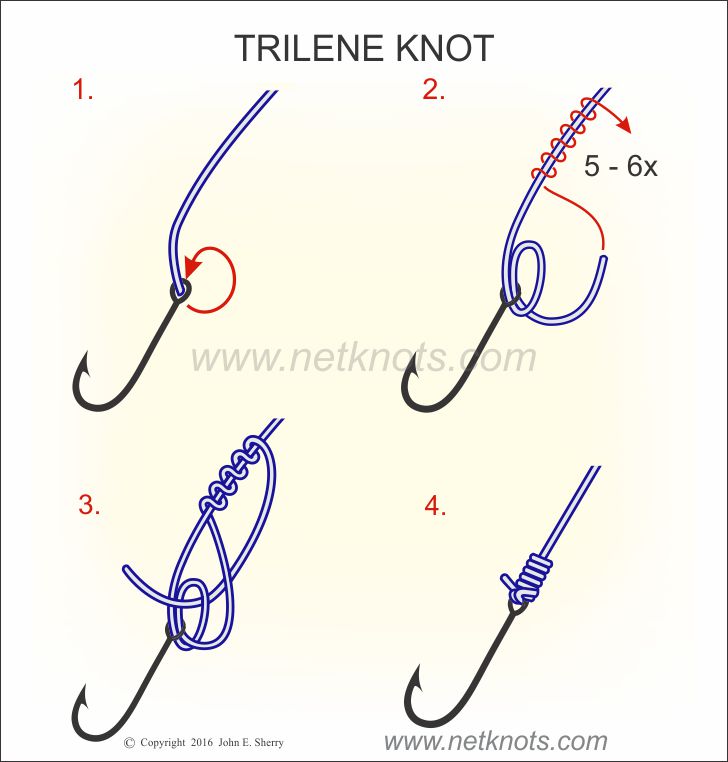 Trilene Knot png images