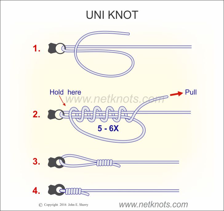 fishing hook knots illustrated