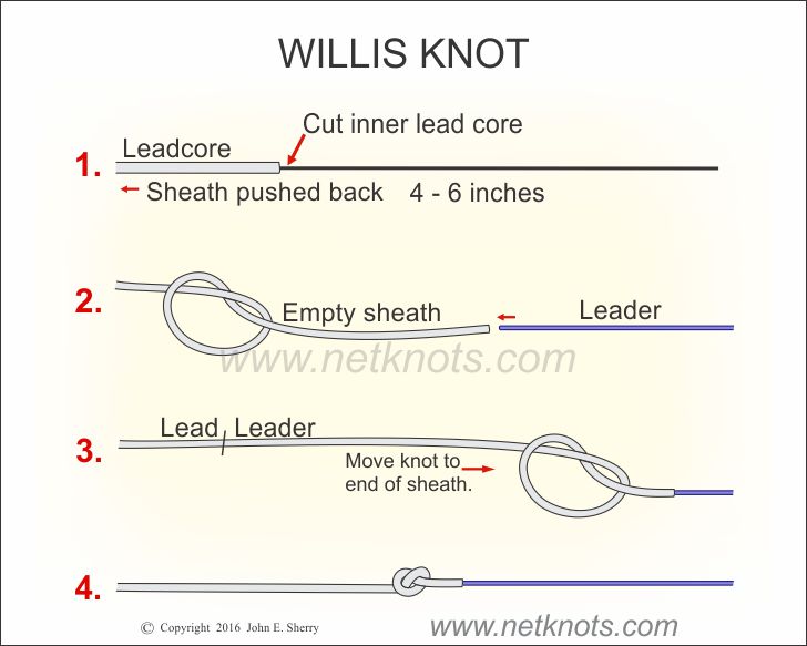 Willis Knot, How to tie the Willis Knot animated and illustrated